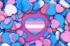 Transgender Children Day