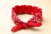 Bandana Day