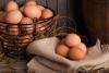 World Egg Day