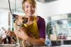 Pet Groomer Appreciation Day