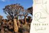 Quiver Tree Day