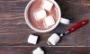 Cocoa day