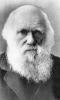 Darwin Day