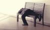 Public Sleeping Day
