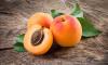 Apricot Day