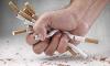 Cigarettes Are Hazardous to Your Health Day