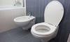 Thomas Crapper Day