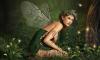 Fairy Day
