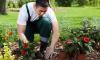 Plant a Flower Day