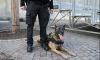K-9 police