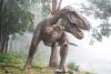 Dinosaur Day