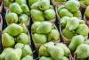 Pear Day