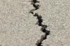 Richter Scale Day