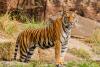 Wildlife Conservationists Day