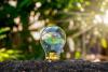 World Nature Conservation Day