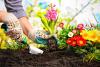 Gardening Day