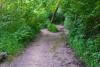 Trails Day