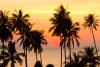 International Day of the Tropics