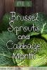 April is Brussel Sprouts and Cabbage Month