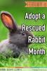 February is Adopt a Rescued Rabbit Month