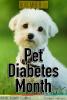 November is Pet Diabetes Month