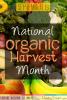 September is National Organic Harvest Month!