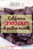 California Dried Plum Digestive Health Month Open Primary tabs configuration options Primary tabs