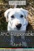 September is AKC Responsible Dog Ownership Month!
