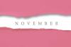 A Peak at Popular November Daily Fun Holidays