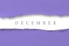 A Peak at Popular December Daily Fun Holidays