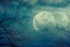 How the Pagan Festival of Samhain became Halloween