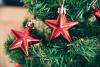 Why Red and Green are the Colors of Christmas 
