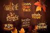 Tips to Survive Thanksgiving with Family Conflicts