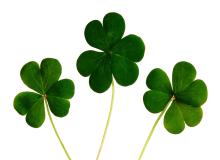 St Patricks Day in the U.S.