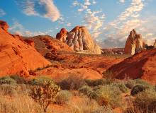 Nevada Day