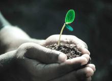 Arbor Day - Samoa