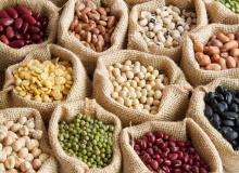World Pulses / Legumes Day