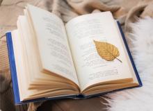 Poetry & The Creative Mind Day