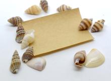 Snailpapers Day