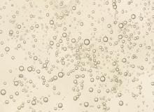 Bubbly Day