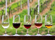 Wine Day