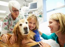 Therapy Animal Day