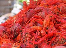 Crawfish Day