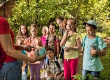 Environmental Education Day