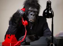 Gorilla Suit Day