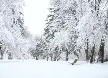 World Snow Day