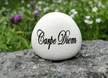 Carpe Diem Day