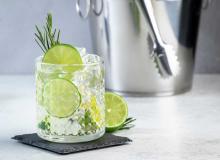 Gin and Tonic Day