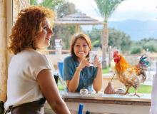 Drinking with Chickens Day