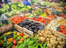Fresh Veggies Day